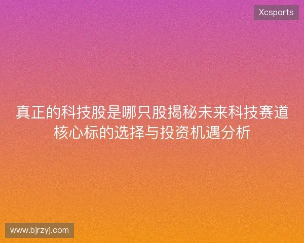 真正的科技股是哪只股揭秘未来科技赛道核心标的选择与投资机遇分析 真正的科技股是哪只股揭秘未来科技赛道核心标的选择与投资机遇分析
