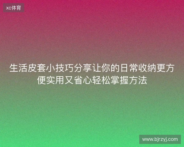 生活皮套小技巧分享让你的日常收纳更方便实用又省心轻松掌握方法